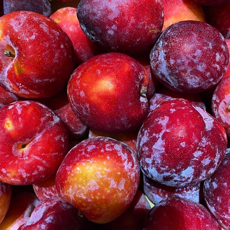 A box of fresh, ripe plums