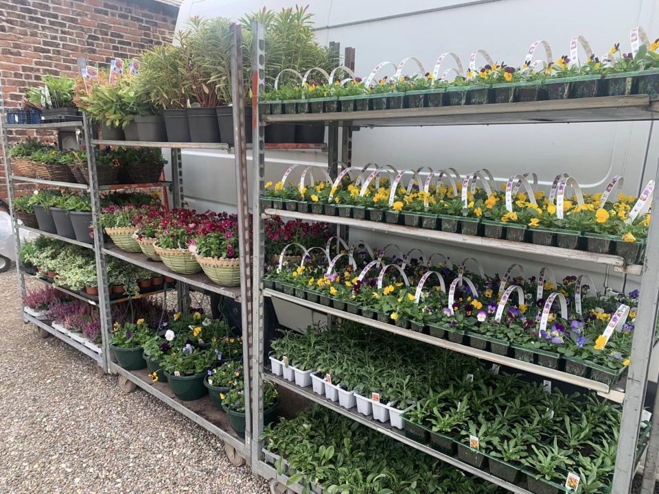 Outdoors at Halebank Farmshop, showing flowers and shrubbery available to purchase